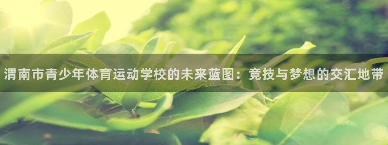 杏耀3官网登录：渭南市青少年体育运动学校的未来蓝图：竞技与梦想的交汇地带