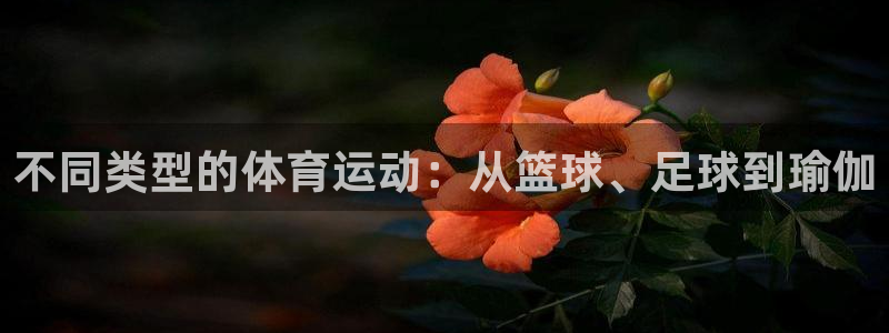 杏耀手机网页版登录：不同类型的体育运动：从篮球、足球到瑜伽