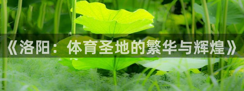 杏耀3平台登录注册：《洛阳：体育圣地的繁华与辉煌》