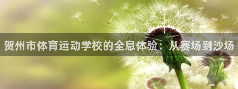 杏耀app登录：贺州市体育运动学校的全息体验：从赛场到沙场