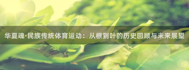 杏耀注册登录代理：华夏魂·民族传统体育运动：从根到叶的历史回顾与未来展望