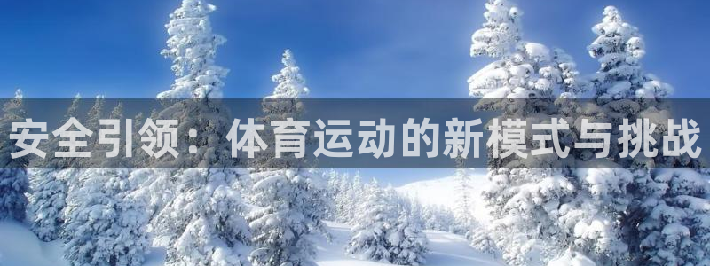 杏耀如何注册：安全引领：体育运动的新模式与挑战