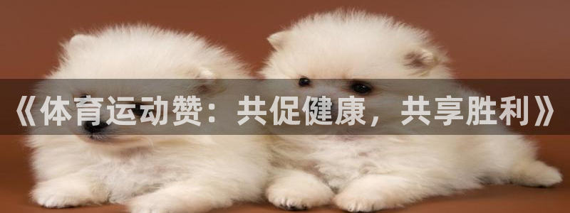 杏耀2平台：《体育运动赞：共促健康，共享胜利》