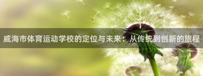 杏耀网络测速官网：威海市体育运动学校的定位与未来：从传统到创新的旅程