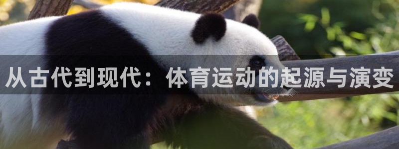 杏耀注册登陆：从古代到现代：体育运动的起源与演变