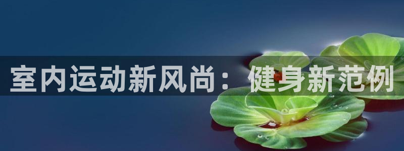杏耀平台个人登录入口：室内运动新风尚：健身新范例