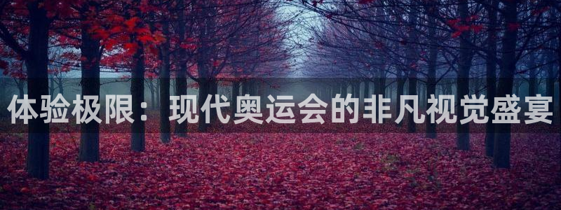 杏耀测速：体验极限：现代奥运会的非凡视觉盛宴