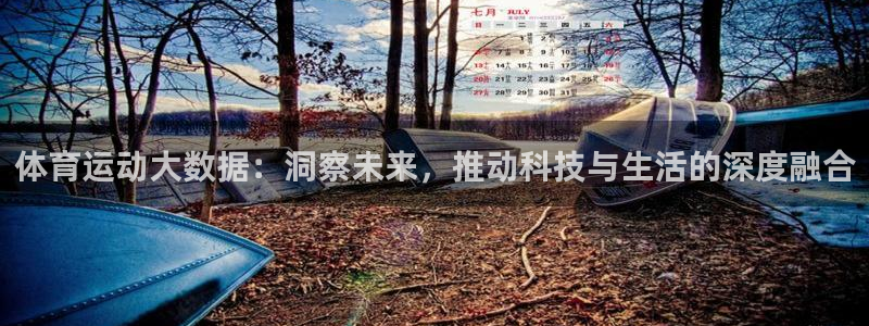 杏耀app下载：体育运动大数据：洞察未来，推动科技与生活的深度融合
