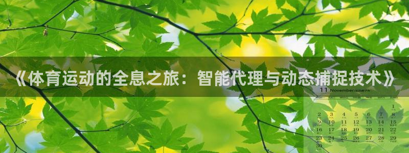 杏耀3登录：《体育运动的全息之旅：智能代理与动态捕捉技术》