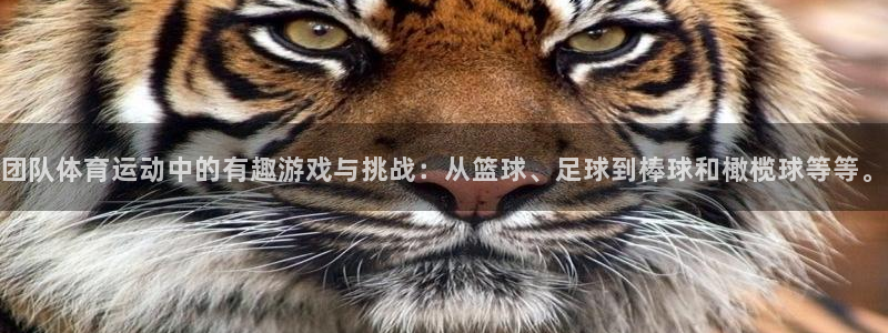 杏耀注册账号：团队体育运动中的有趣游戏与挑战：从篮球、足球到棒球和橄榄球等等。