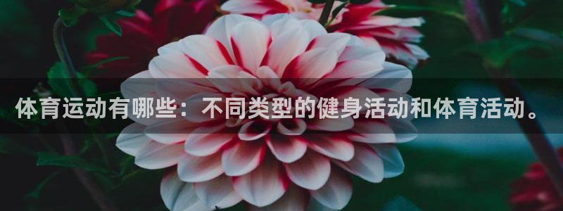 杏耀体育在线注册：体育运动有哪些：不同类型的健身活动和体育活动。