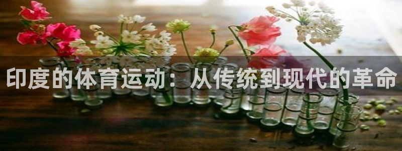 杏耀3登陆：印度的体育运动：从传统到现代的革命