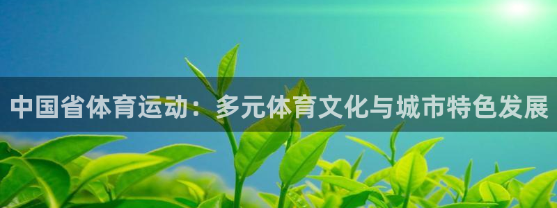 杏耀注册平台：中国省体育运动：多元体育文化与城市特色发展
