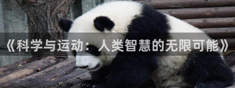 杏耀体育app下载：《科学与运动：人类智慧的无限可能》